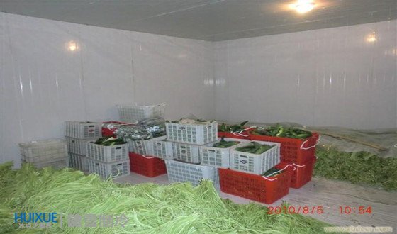 安徽滨江农业保鲜冷库安装建造案例